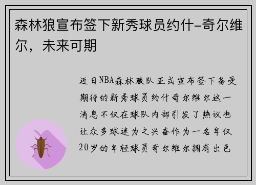 森林狼宣布签下新秀球员约什-奇尔维尔，未来可期