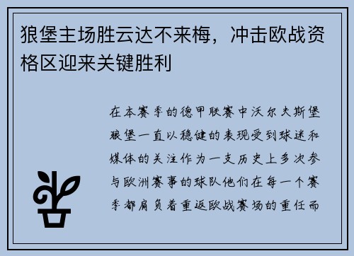 狼堡主场胜云达不来梅，冲击欧战资格区迎来关键胜利